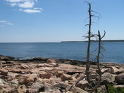 Acadia National Park