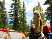 Yosemite National Park