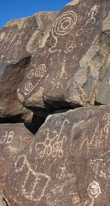 Saguaro National Park (West) - Signal Hill