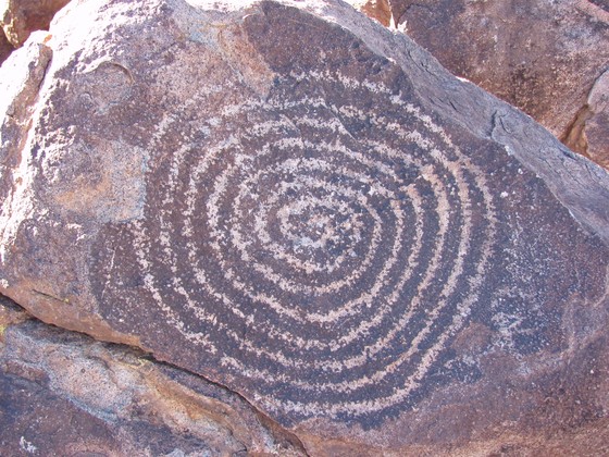 Saguaro National Park (West) - Signal Hill