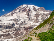 Mt. Rainier National Park