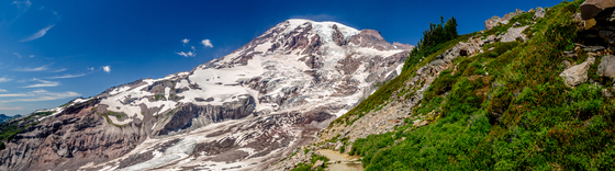Mt. Rainier National Park
