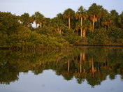 Cedar Keys National Wildlife Refuge