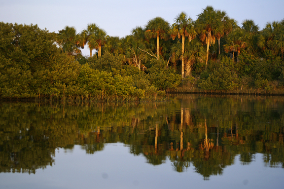 Cedar Keys National Wildlife Refuge