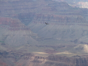 Grand Canyon National Park