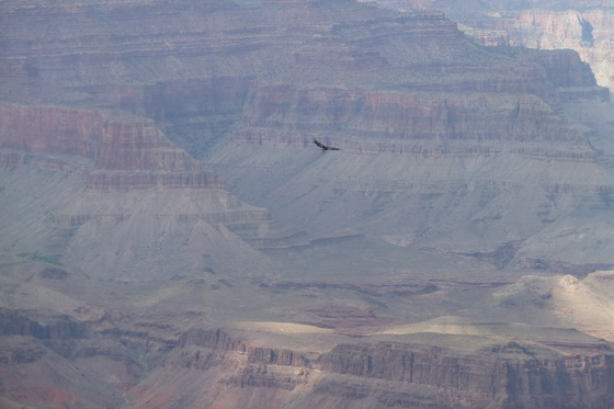 Grand Canyon National Park