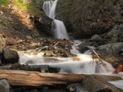 Mt. Rainier National Park