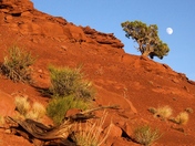 Glen Canyon NRA, UT
