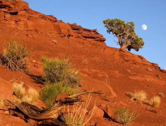 Glen Canyon NRA, UT