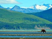 Katmai National Park 