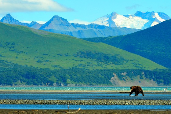 Katmai National Park 