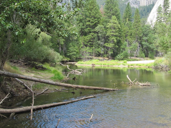 Yosemite National Park
