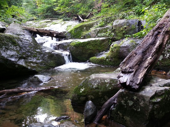 Shenandoah