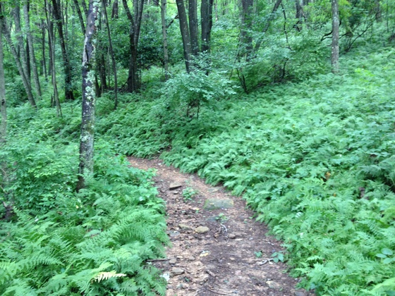Cumberland Gap National Historical Park