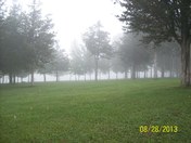 Morning Fog outside Loyalist college