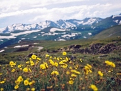 Rocky Mountain National Park