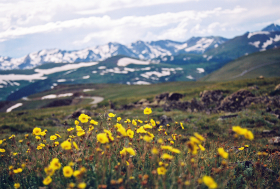 Rocky Mountain National Park