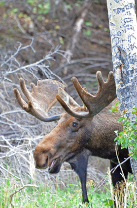 Rocky Mountain National Park