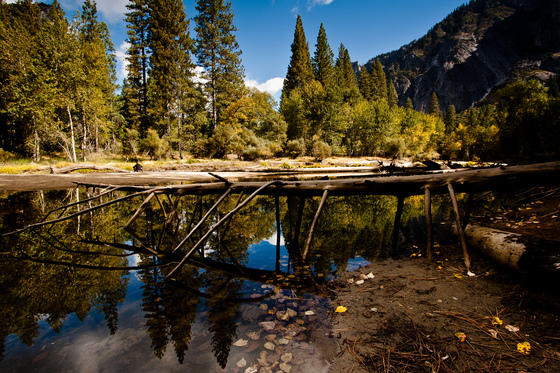 Yosemite National Park