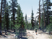 Yosemite