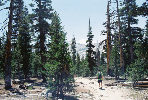Yosemite