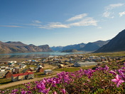 Flowery Pangnirtung