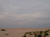 assateague National seashore