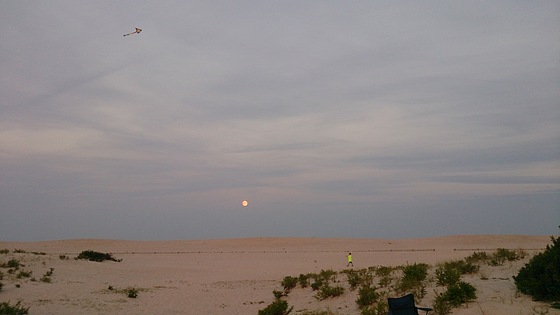 assateague National seashore