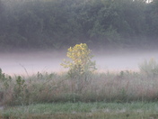 Patuxent Wildlife Research Refuge
