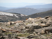 Rocky Mountain National Park