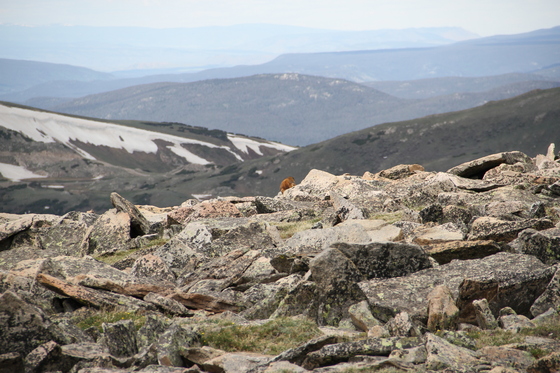 Rocky Mountain National Park