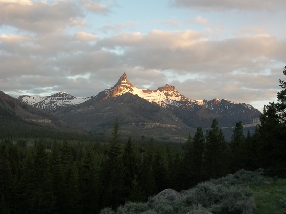 Shoshone National Forest
