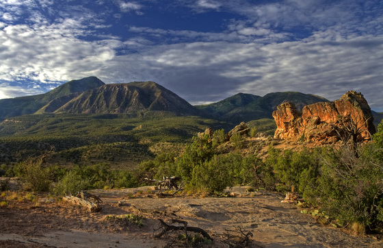 Canyon of the Ancients National Monument