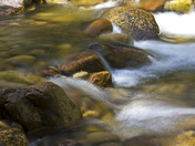 San Juan National Forest