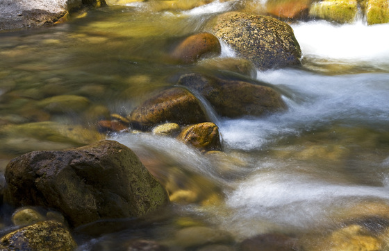 San Juan National Forest