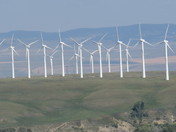 Who has seen the wind...