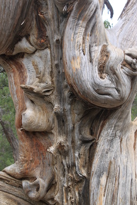 Grand Canyon National Park