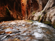 Zion National Park