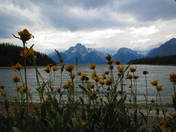 Grand Teton National Park