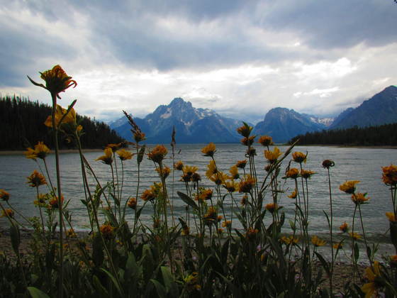 Grand Teton National Park