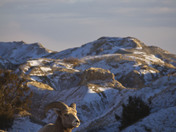 Badlands National Park