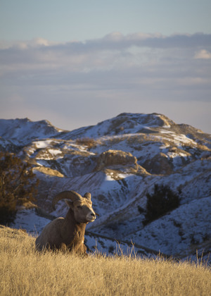 Badlands National Park