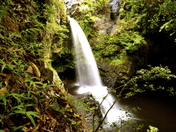 Haleakala National Park