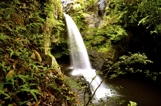 Haleakala National Park