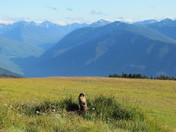 Olympic National Park