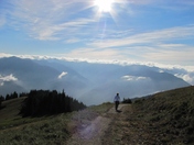 Olympic National Park