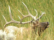 Rocky Mountain National Park