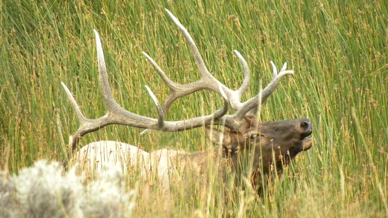 Rocky Mountain National Park