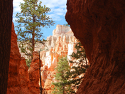 Bryce Canyon