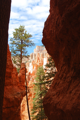 Bryce Canyon